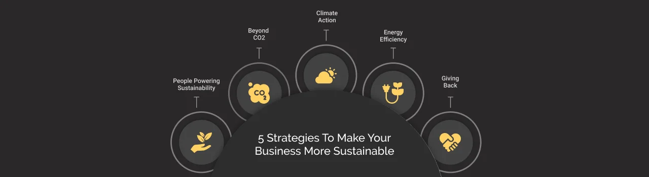 5 Strategies to Make Your Business More Sustainable Dark
