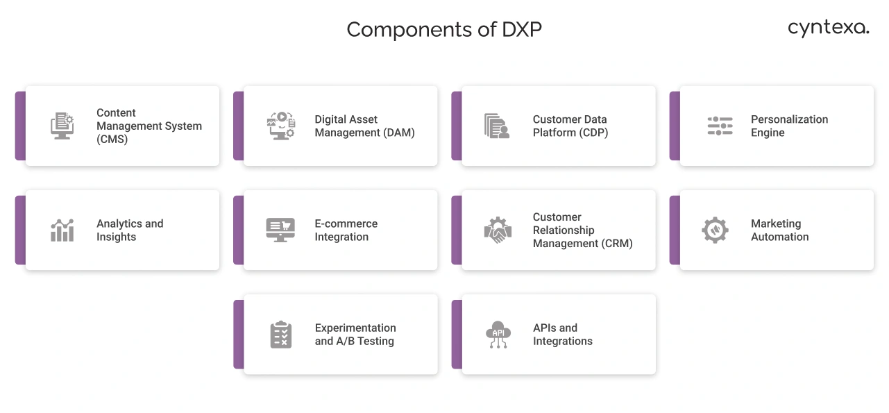 Components of DXP Light Img