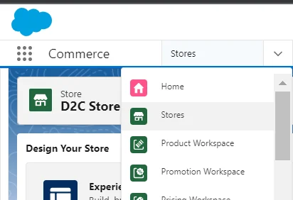 D2C Store Creation