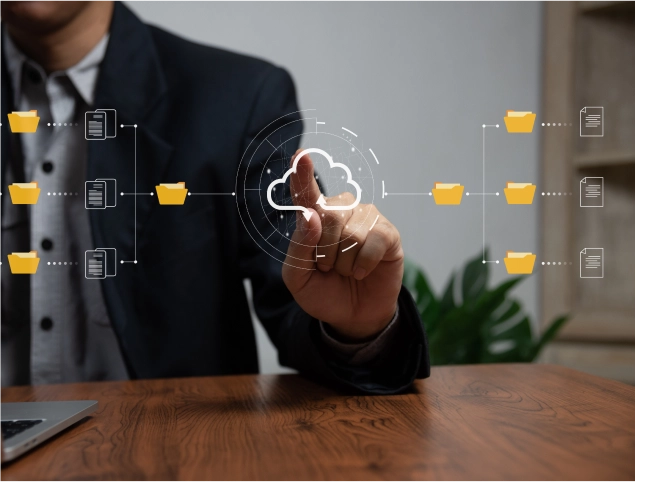 Database Management Services