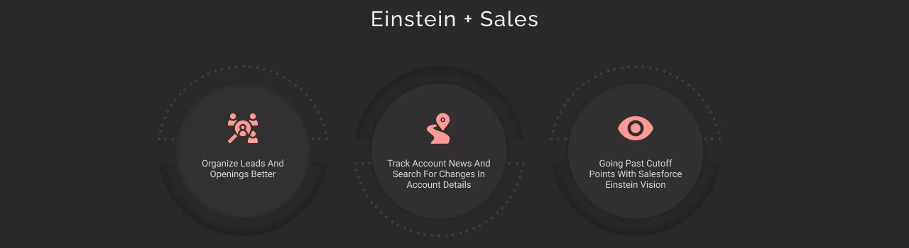 Einstein and Sales dark
