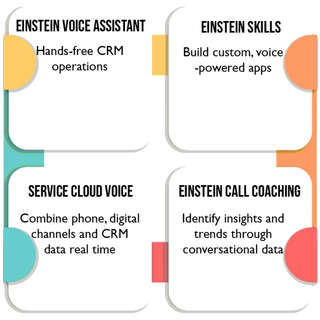 Einstein voice Agent