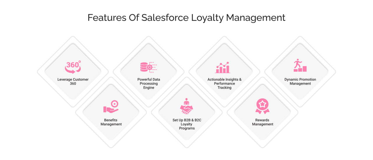 Features of salesforce loyalty management