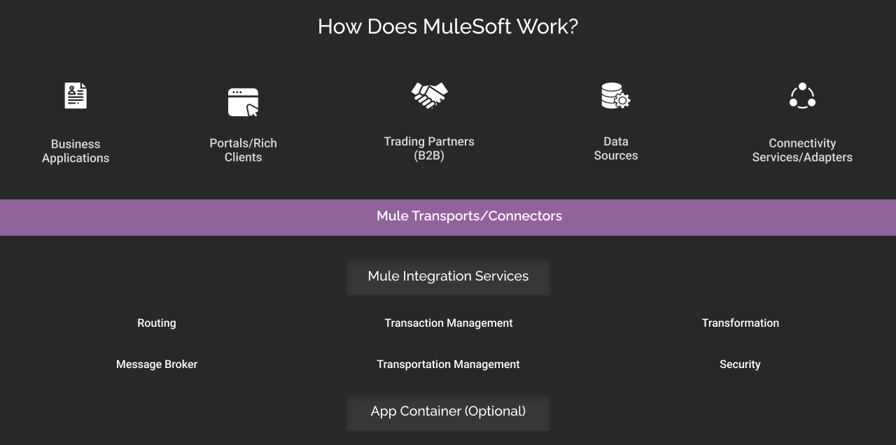 how does mulesoft works dark