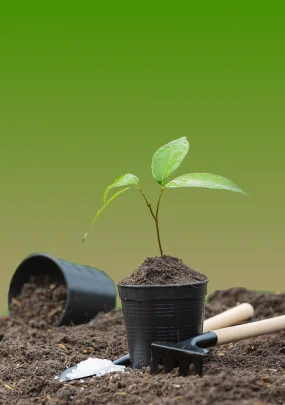 How to Market Your Startup Narrative for Sustainable Business Growth Banner