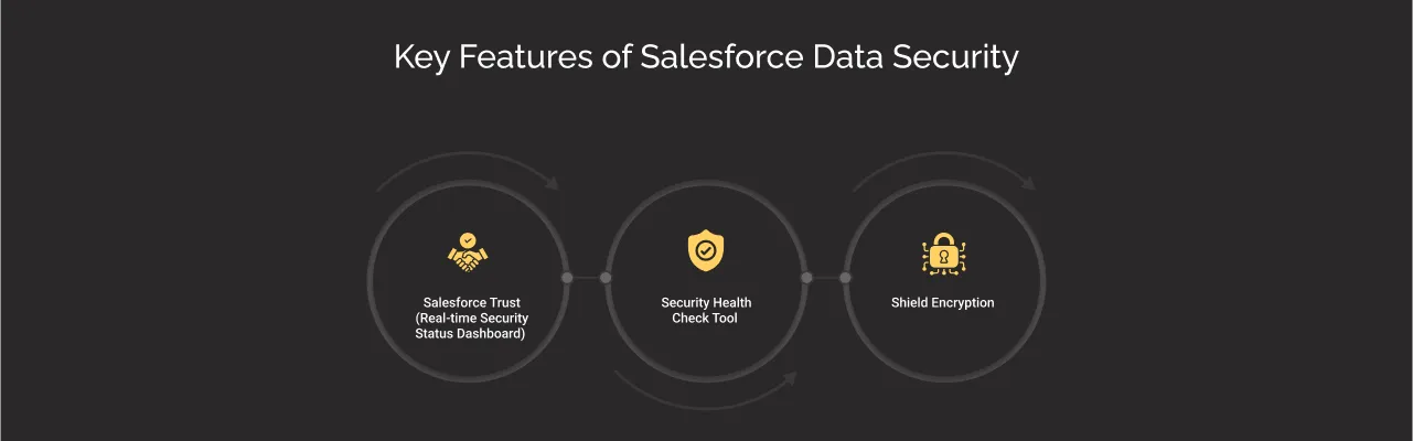Key Features of Salesforce Data Security dark