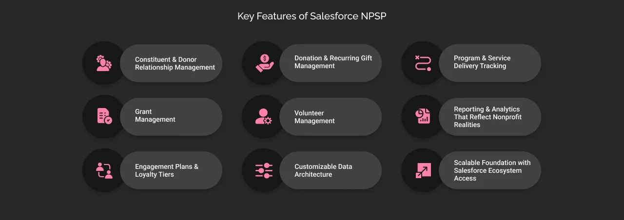 Key Features of Salesforce NPSP dark