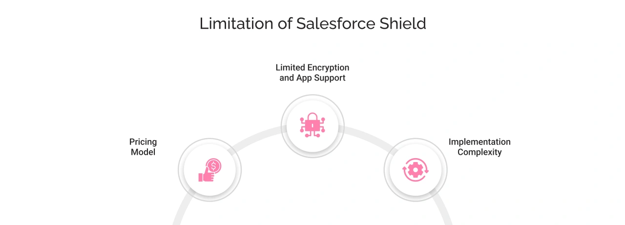 Limitation of Salesforce Shield Light Img