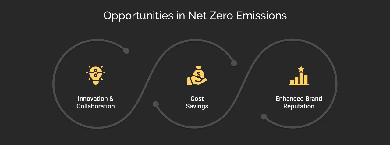 opportunities in net zero emissions dark