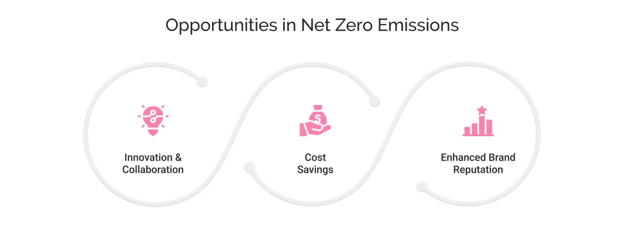 Opportunities in Net Zero Emissions