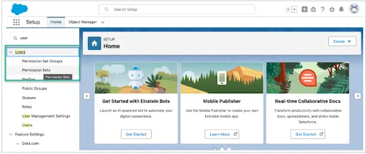 Permission Sets Configuration Stage