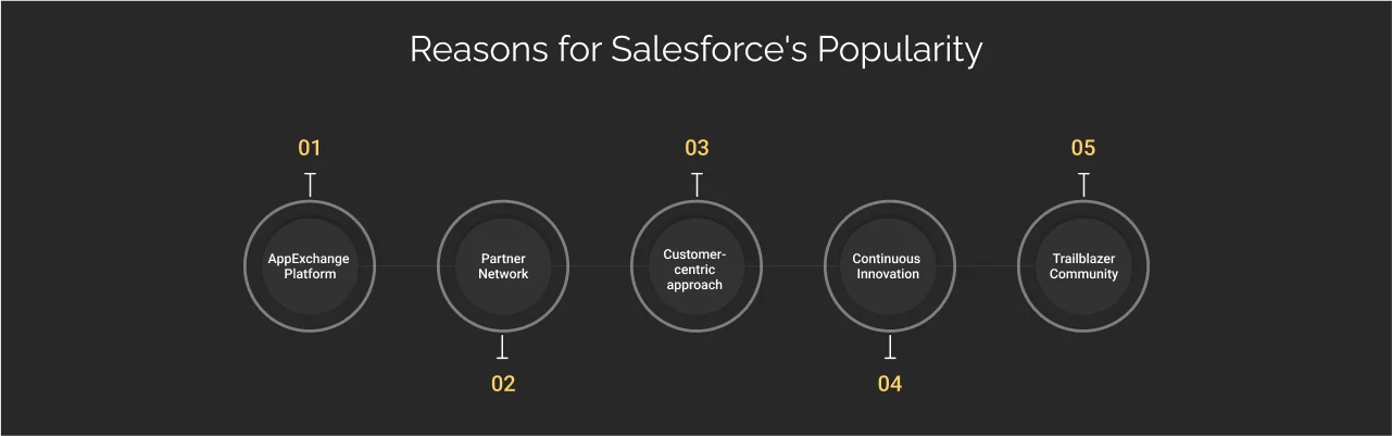 reasons for Salesforce's popularity dark