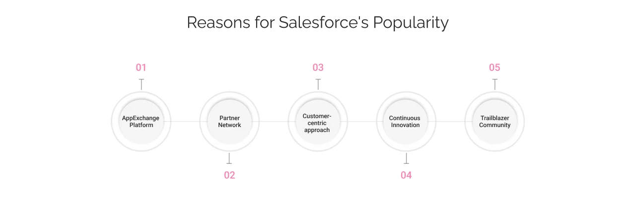 reasons for Salesforce's popularity