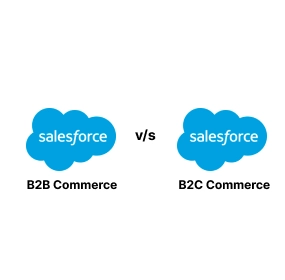 Salesforce b2b vs b2c cloud banner