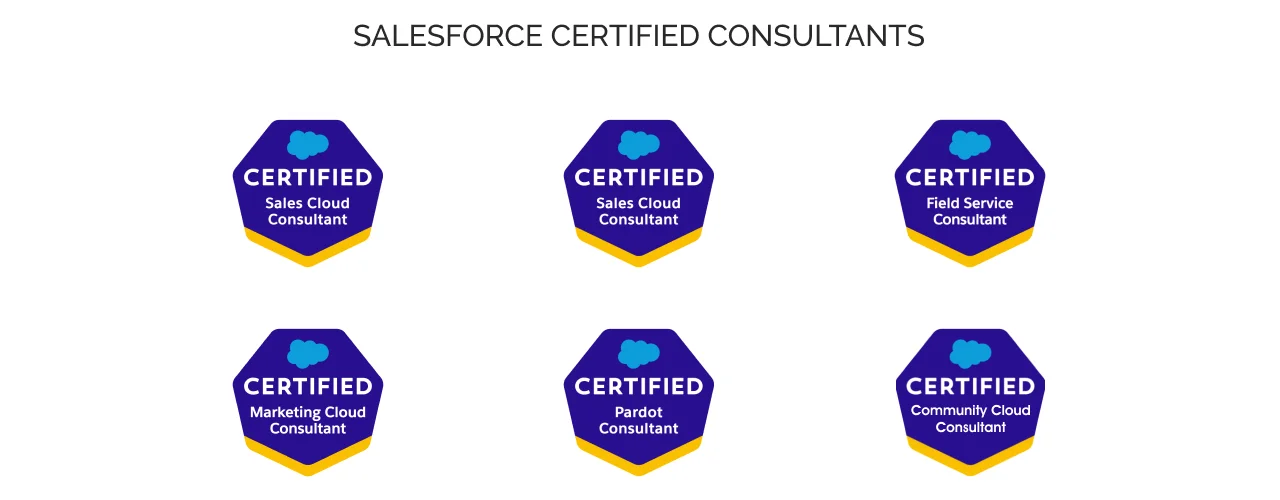 Salesforce Certified Consultants