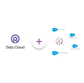 Salesforce Data Cloud Integration banner