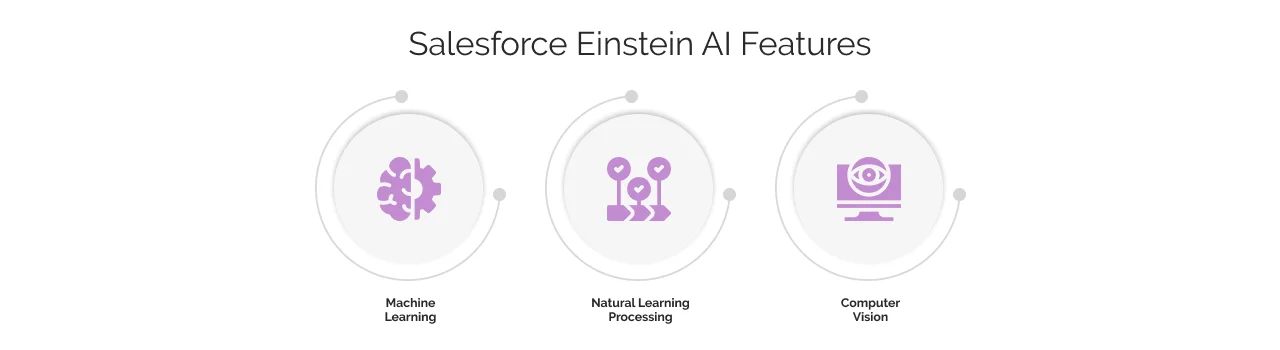 Einstein AI Features