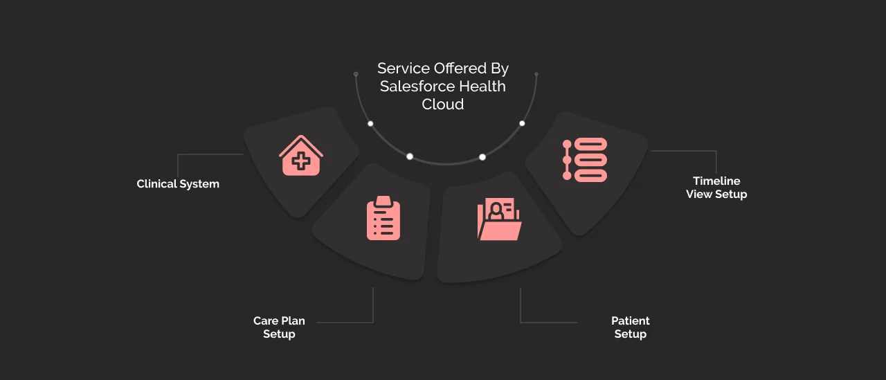 Services offered by Salesforce Health Cloud Drak
