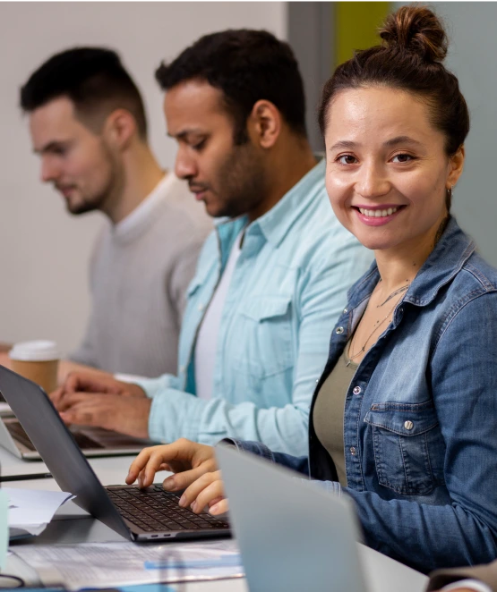 IT Professionals Services