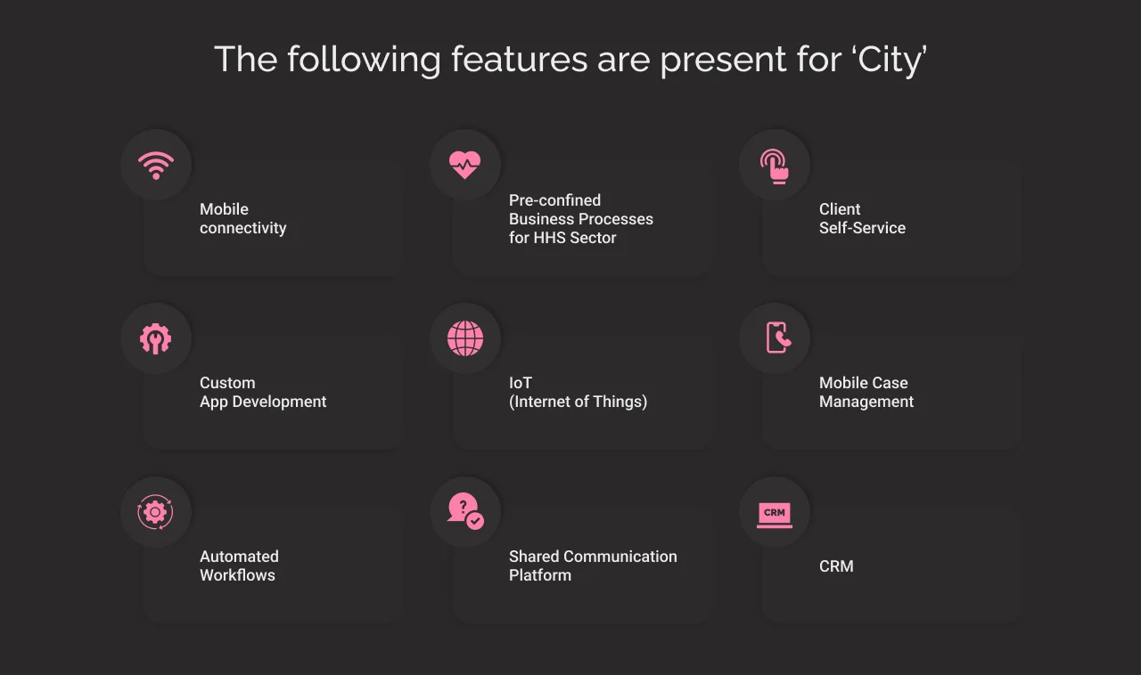 The following features are present for City Salesforce Government Cloud dark