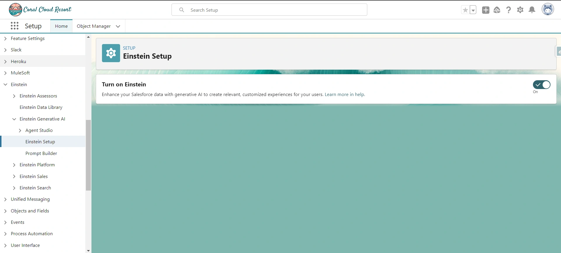 Turn on Einstein Img