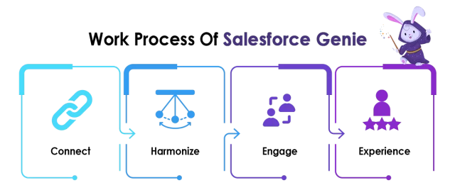 Work Process of Salesforce Genie